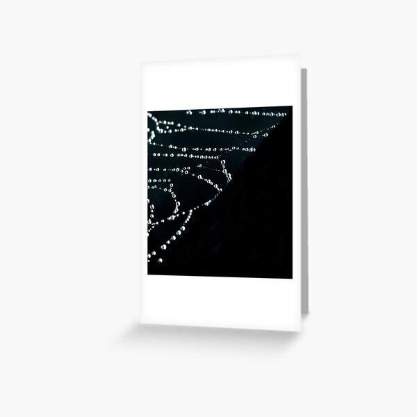 A miracle in balance Greeting Card