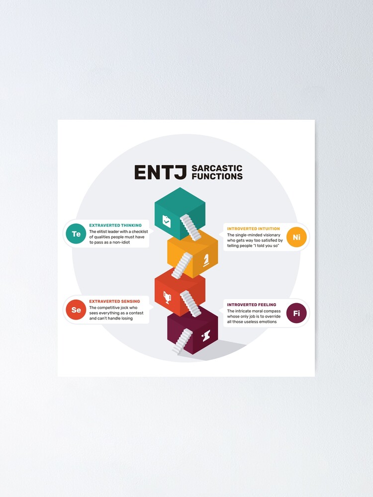 Entj Sarcastic Functions Poster By Eilamona Redbubble