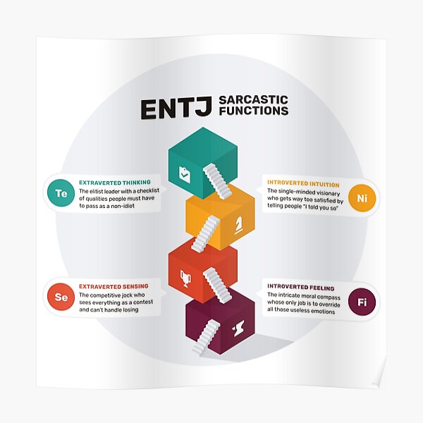 Entj Sarcastic Functions Poster By Eilamona Redbubble