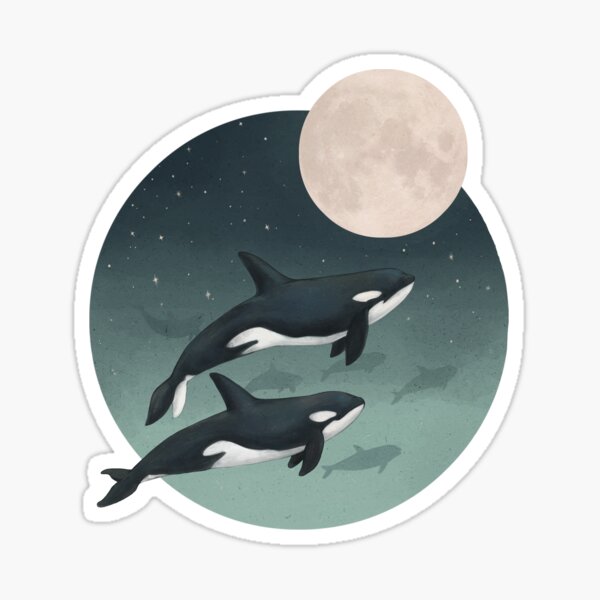 moonlight caravan // orcas Sticker