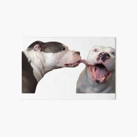 Funny Pit Bull Wall Art Redbubble