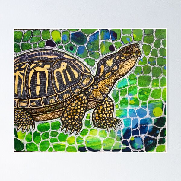 Modern Decorative Turtle Art Canvas Shadow Box - 10x10