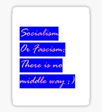 Socialism or Fascism - antifascist - 90s hipster tee Seinfeld colors Leftist Socialist Sticker