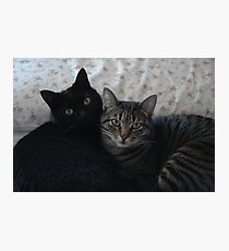 OUR REQUIREMENTS Photographic Print