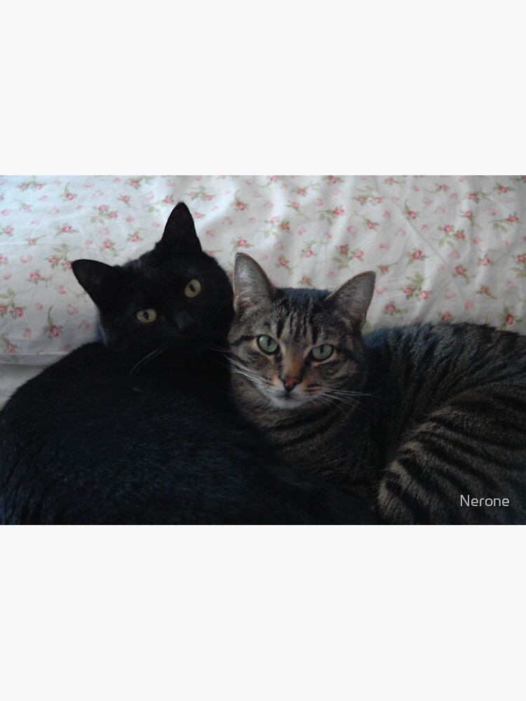 "OUR REQUIREMENTS" Sticker for Sale by Nerone Redbubble