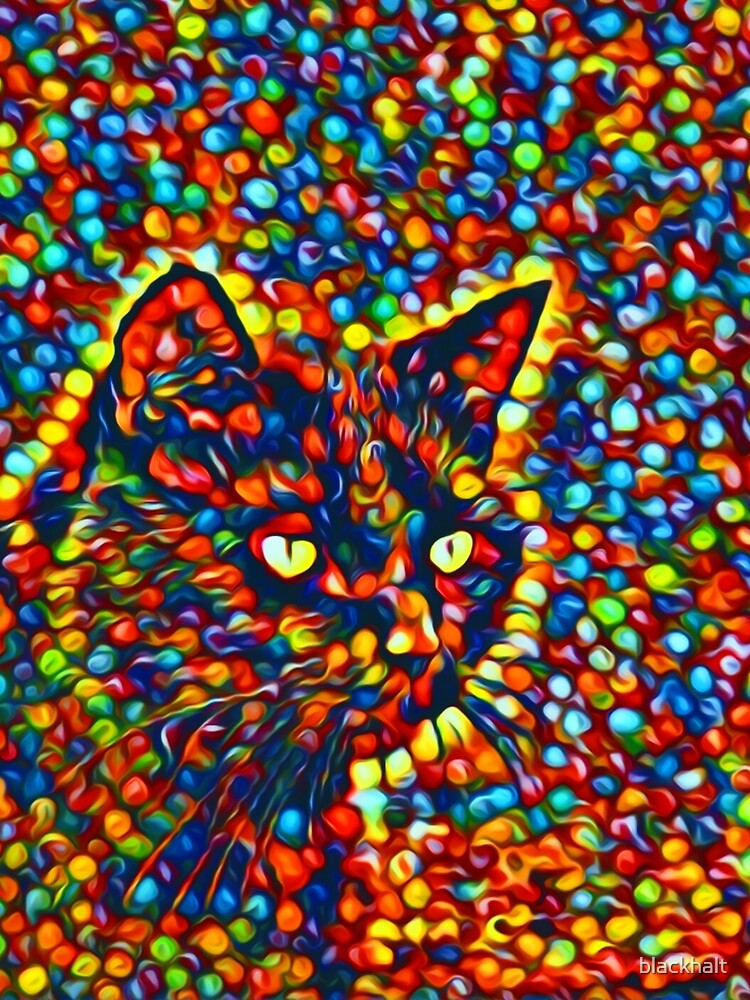 Cat by blackhalt