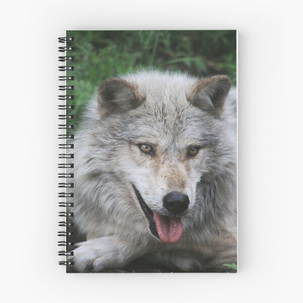 Item preview, Gray Wolf designed and sold by Alyce Taylor.