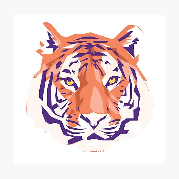 Geometric Clemson Tiger Photographic Print