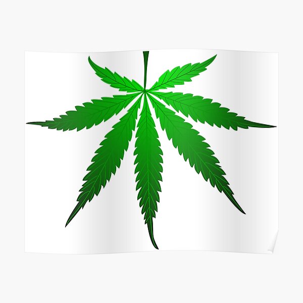 cannabis, cannabis leaf, Poster