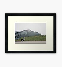 Harrier Framed Print