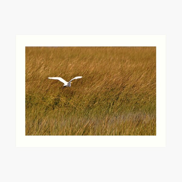 Flight Art Print