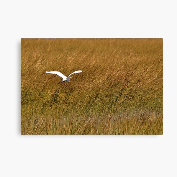 Flight Canvas Print