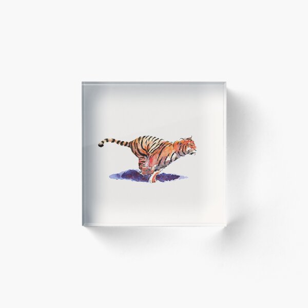 Acrylic Block
