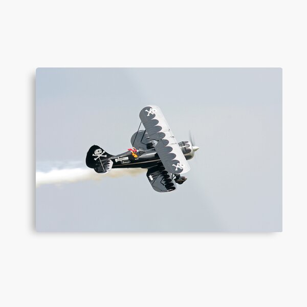 Bi-Plane Metal Print