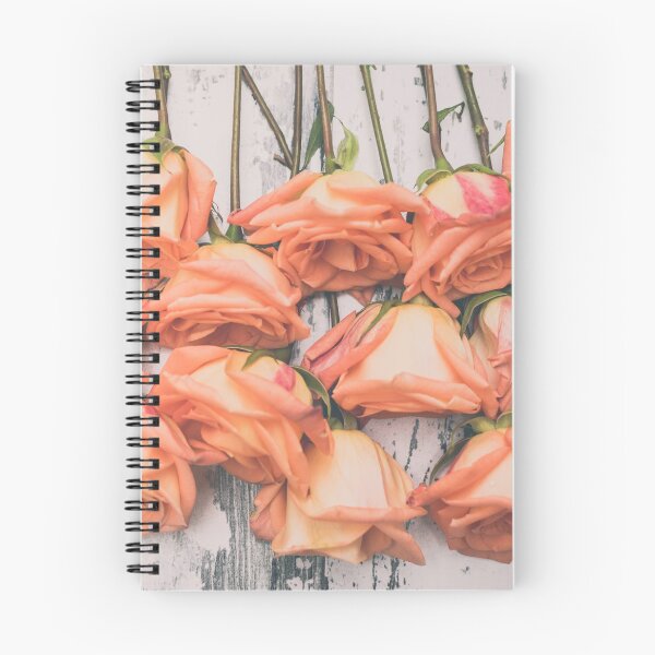 Aperçu de l'œuvre Roses de pêche à l'envers créée et vendue par gingerfancy.