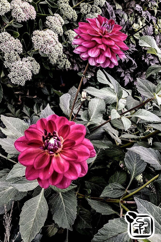 "Maroon Flowers" by SonneFaunArt Redbubble