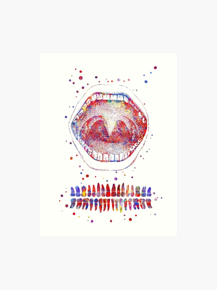 Tooth Chart Printable