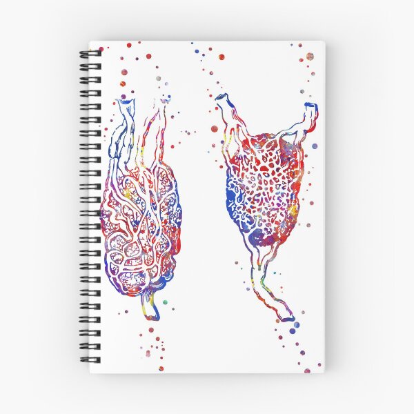 Item preview, Lymph node, the anatomical structure of the lymph node designed and sold by Rosaliartbook.