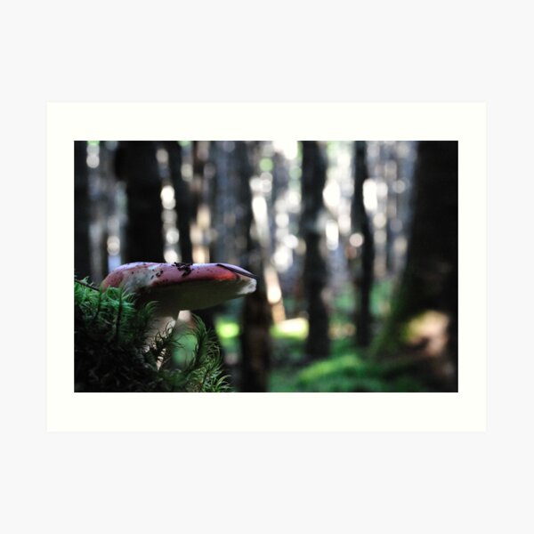 Between Two Trees Art Print
