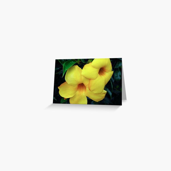 Copa de Oro Greeting Card