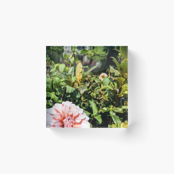 Item preview, Peach flower on the river designed and sold by SonneFaunArt.
