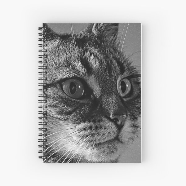 Smokey in Mono. Spiral Notebook