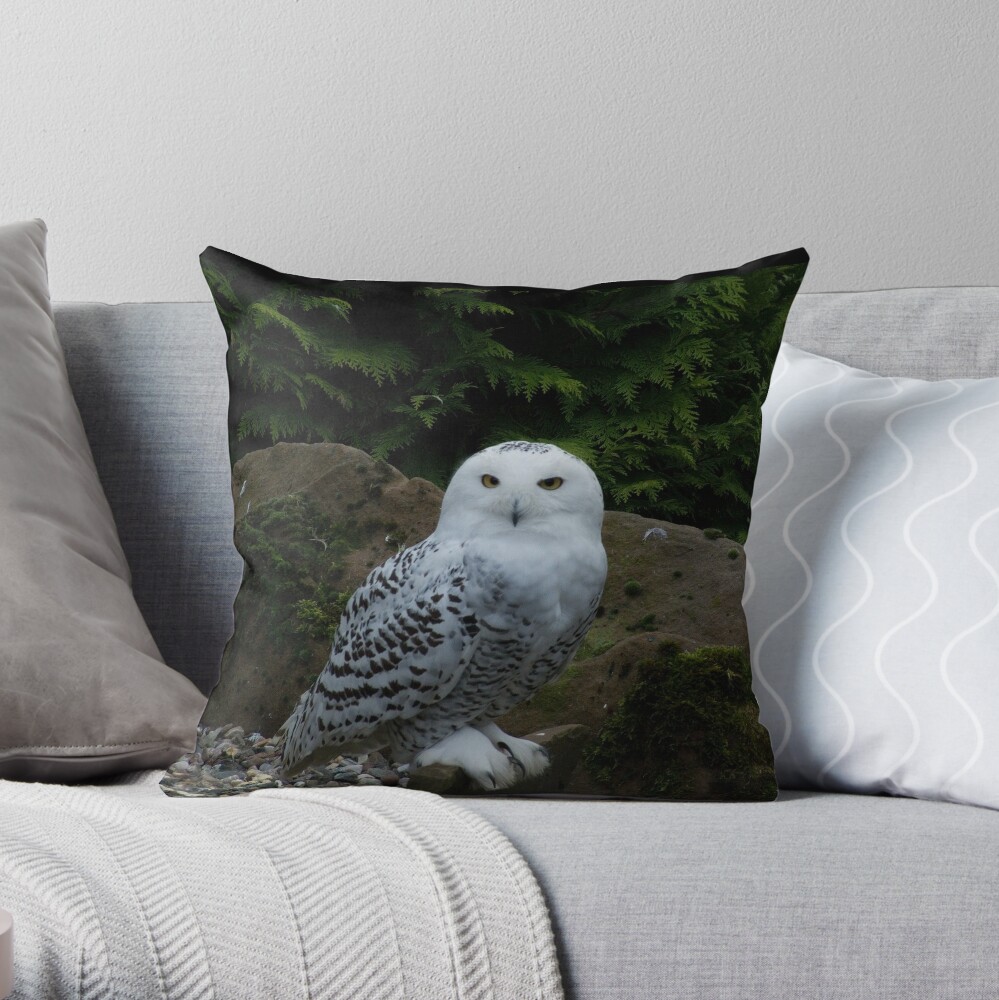 owl pillow