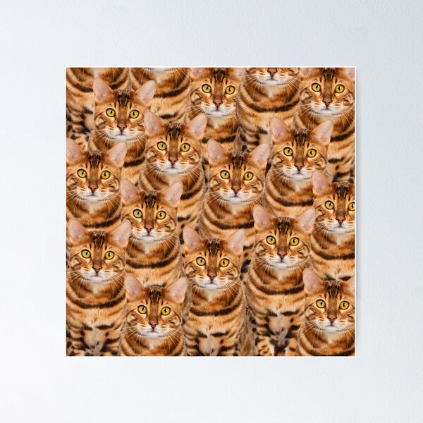 Item preview, Spectacular Bengal Kitten Design designed and sold by PrintArtdotUS.