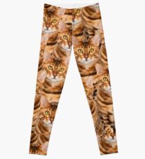 Spectacular Bengal Kitten Design Leggings