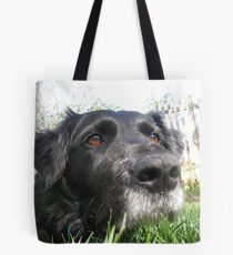 Polly in the grass Tote Bag