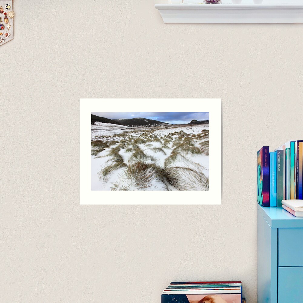 Grass Tussocks, Cradle Mountain National Park, Tasmania, Australia Art Print