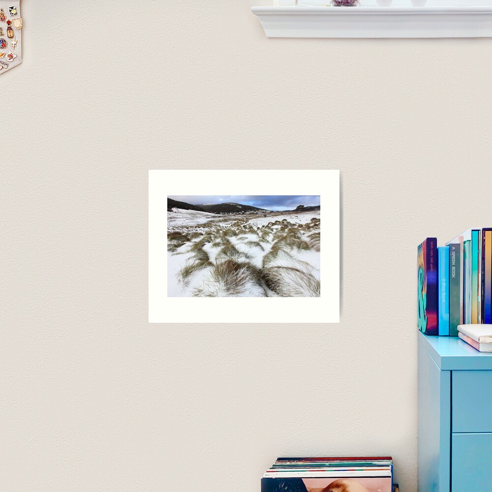 Grass Tussocks, Cradle Mountain National Park, Tasmania, Australia Art Print