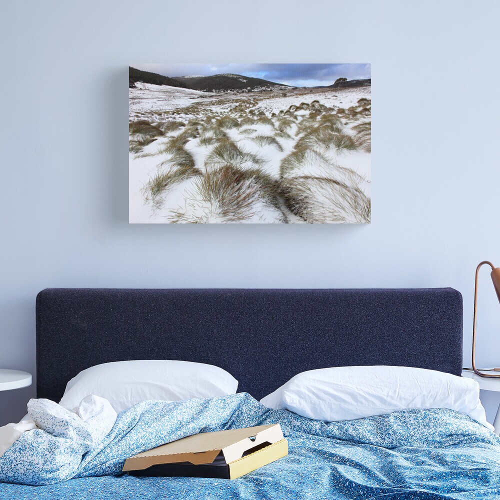Grass Tussocks, Cradle Mountain National Park, Tasmania, Australia Canvas Print