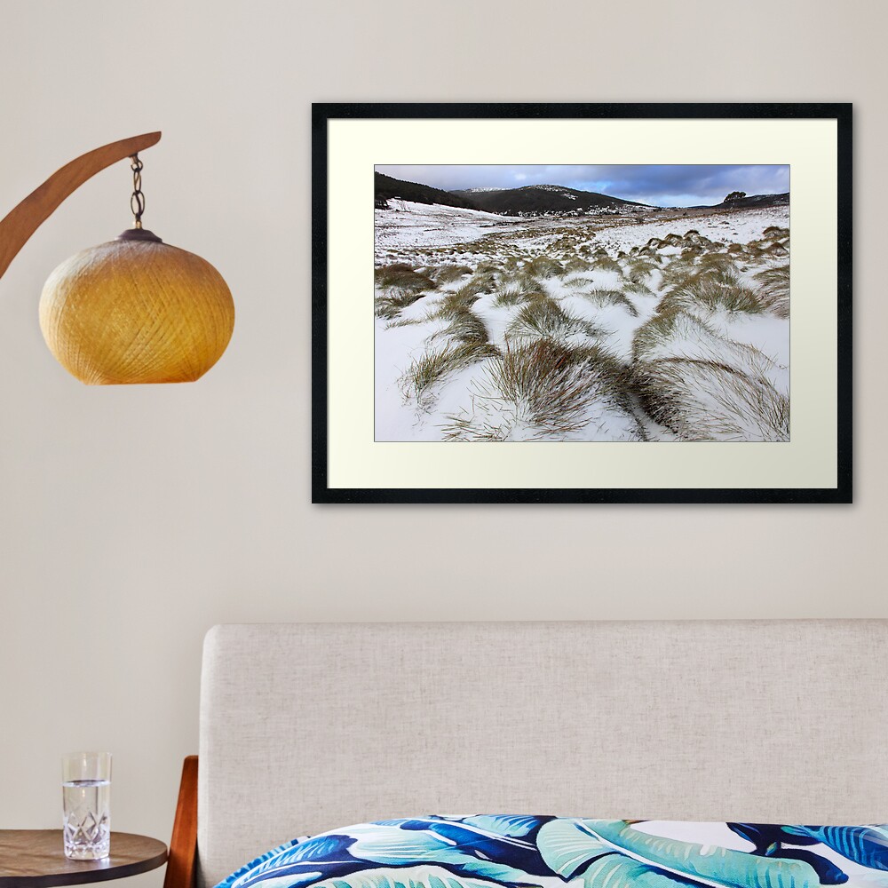 Grass Tussocks, Cradle Mountain National Park, Tasmania, Australia Framed Art Print