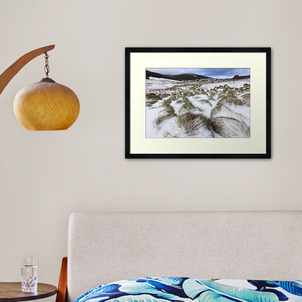 Grass Tussocks, Cradle Mountain National Park, Tasmania, Australia Framed Art Print