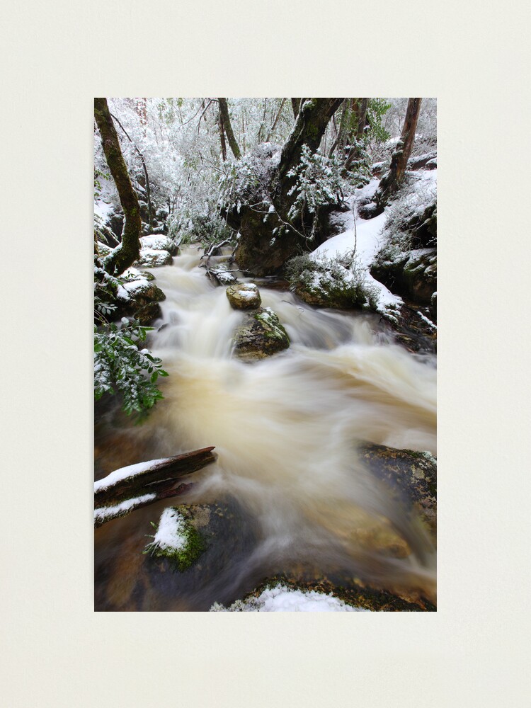 Thumbnail 2 of 3, Photographic Print, Winter at Crator Creek, Cradle Mountain National Park, Tasmania, Australia designed and sold by Michael Boniwell.