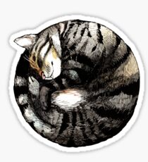 Tranquil Cat Sleeps in a Circle Sticker
