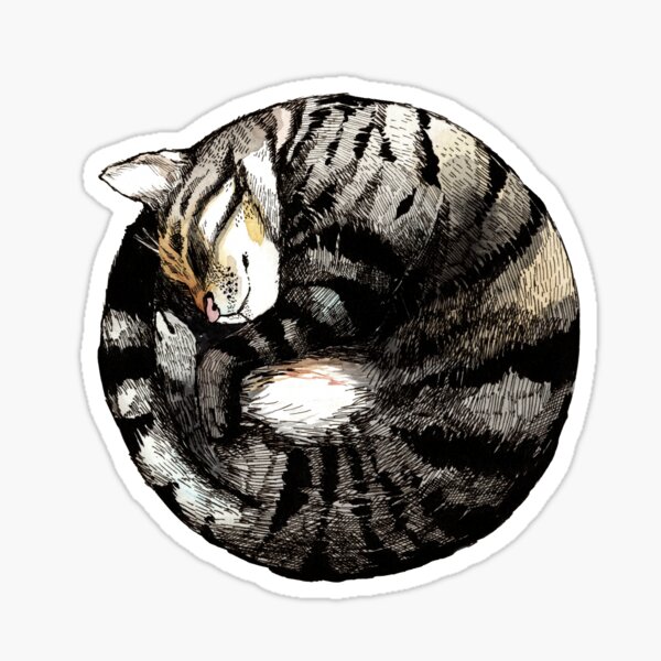 3 Cat Stickers Cat Color Stickers Cat Loaf Cat Breed 