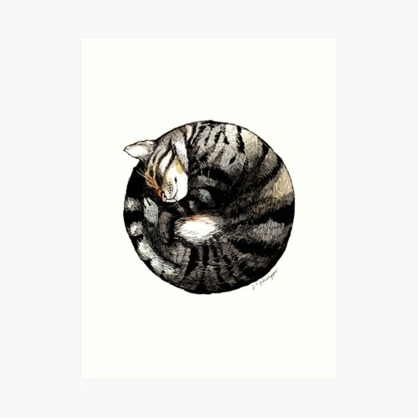 Tranquil Cat Sleeps in a Circle Art Print
