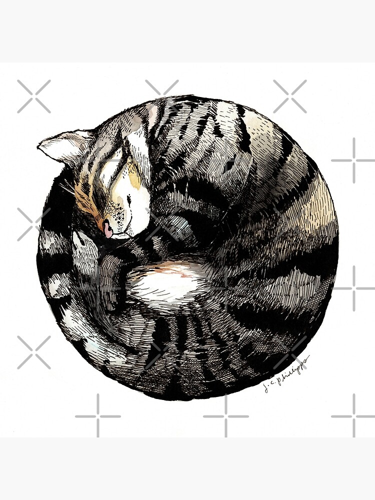 Tranquil Cat Sleeps in a Circle Art Board Print for Sale by