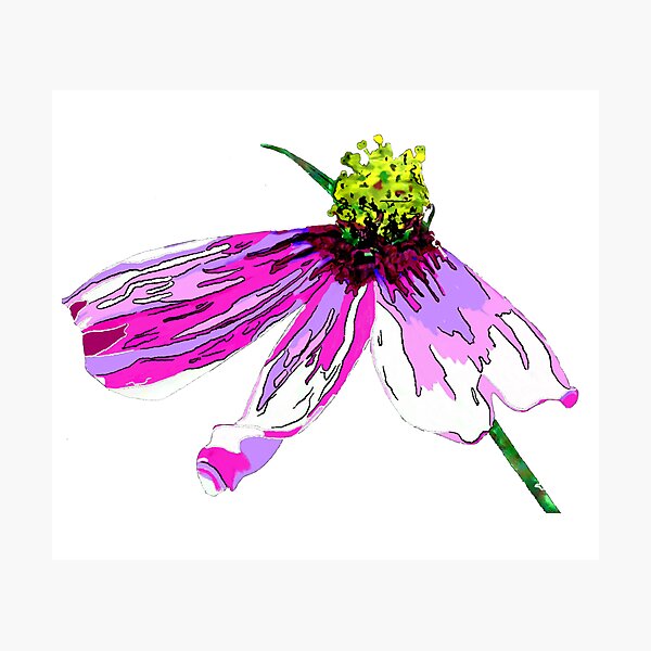 Item preview, Jen's Wildflowers ~ Illustration designed and sold by Charlotte Hertler.