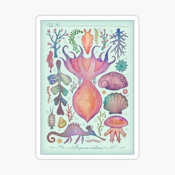 Marine Creatures IV Sticker