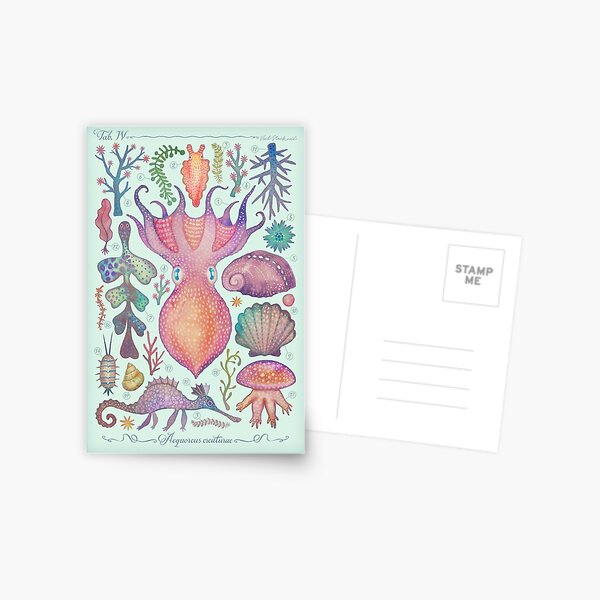 Marine Creatures IV Postcard