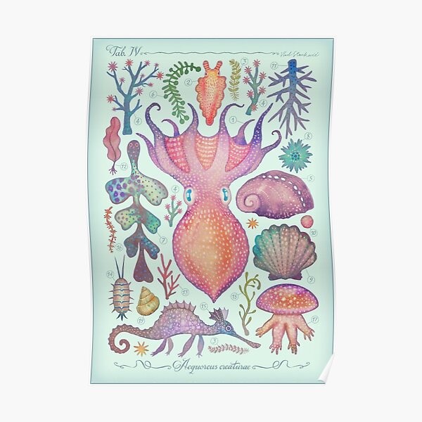 Marine Creatures IV Poster