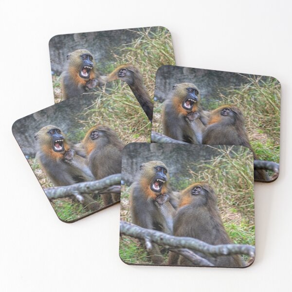 Item preview, Mandrills Menace designed and sold by KbytesOfJax Outdoor and Nature.