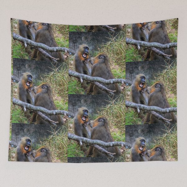 Item preview, Mandrills Menace designed and sold by KbytesOfJax Outdoor and Nature.