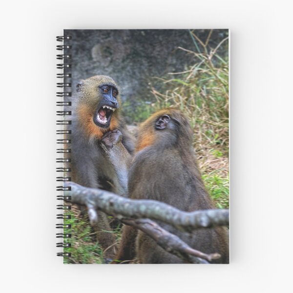 Item preview, Mandrills Menace designed and sold by KbytesOfJax Outdoor and Nature.