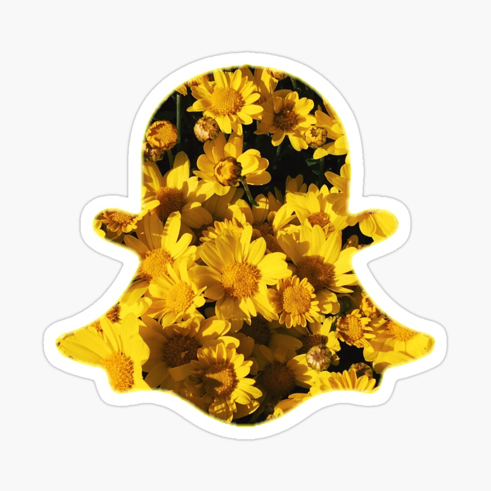 Get Aesthetic Cute Snapchat Logo Yellow Gif - Expectare Info