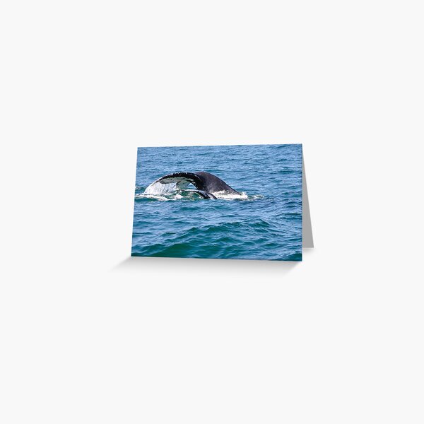 Artikel-Vorschau von Whale flukes (mother and calf), designt und verkauft von Meg Forbes.