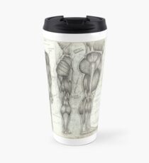 Taza de viaje Anatomía Humana 2